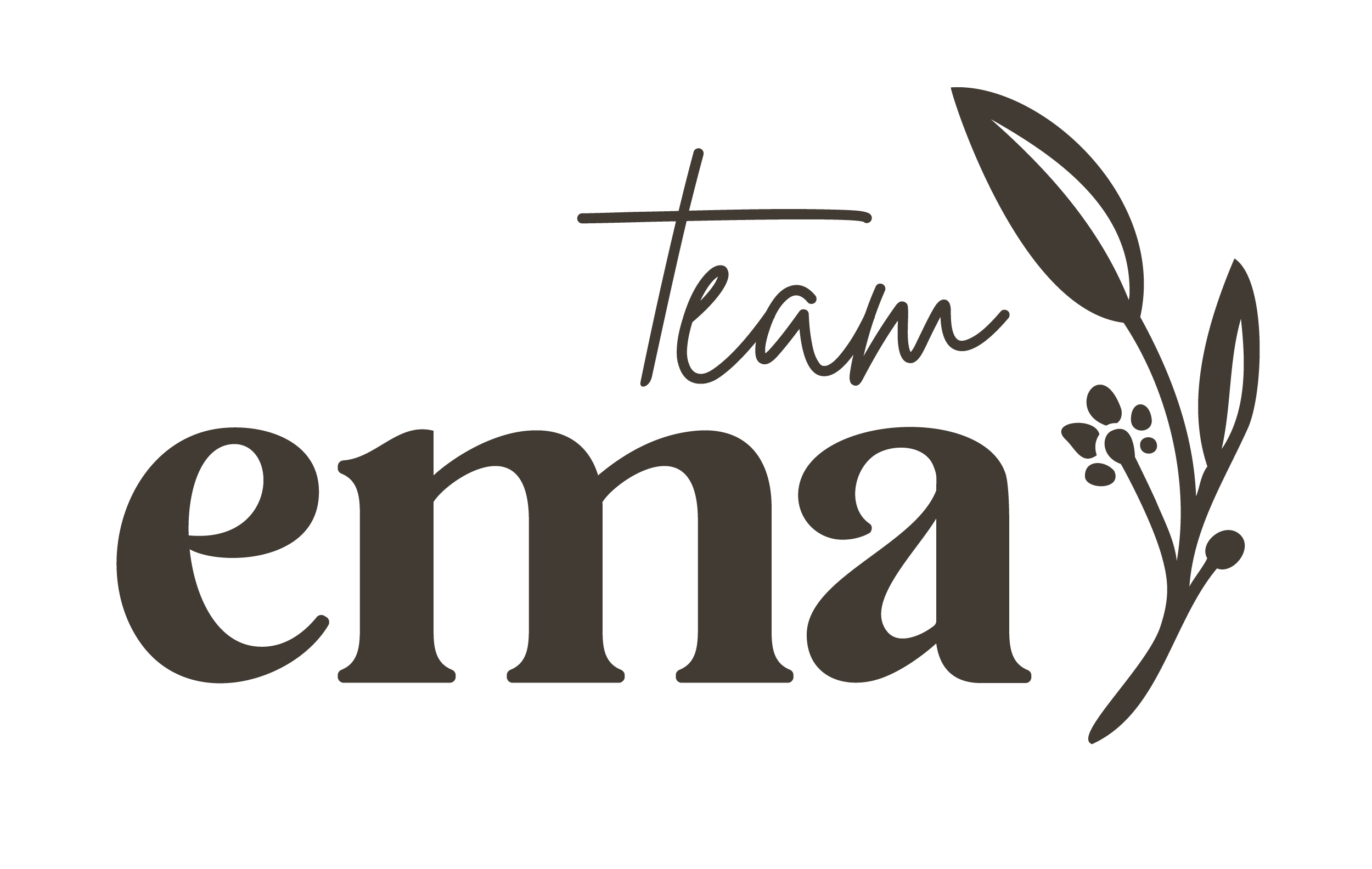 Team Ema